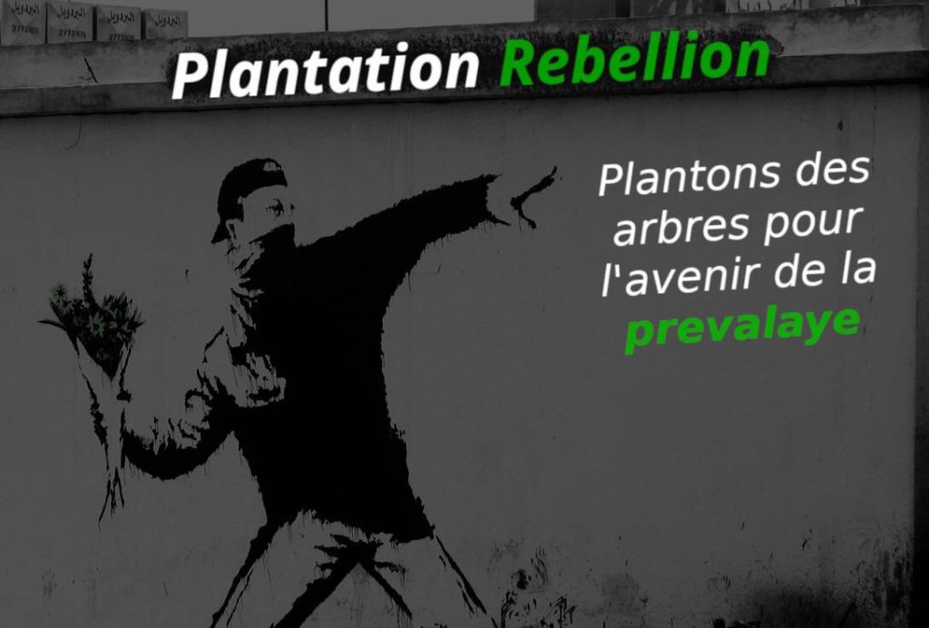 Plantation Rebellion